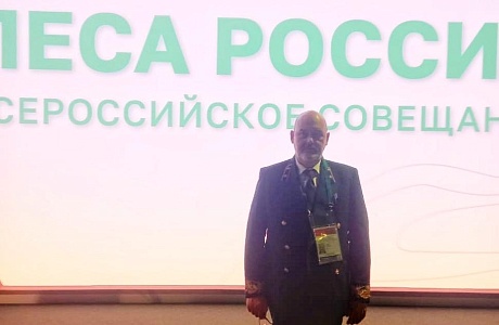 В Москве подвели итоги работы лесного хозяйства России в 2024 году